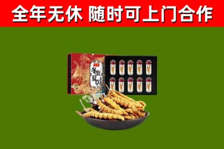 崇川区回收冬虫夏草价格
